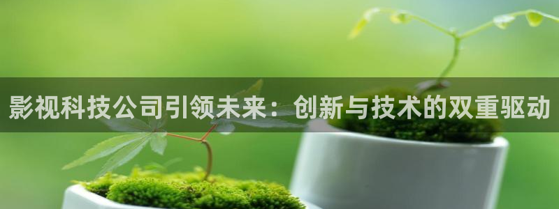 窝窝电影网大全