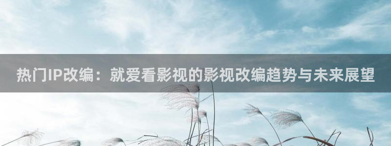 窝窝电影手机版