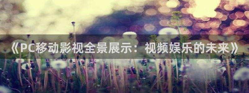 55窝窝影院免费观看